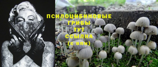 героин Алексин