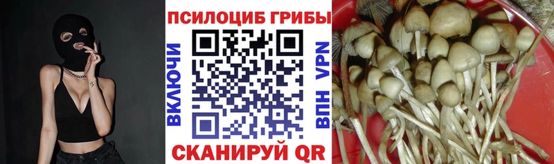 Псилоцибиновые грибы Cubensis  MEGA   Хвалынск  закладки 